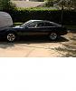 Loover-firebird3.jpg