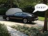 Loover-firebird1.jpg