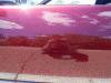 Formula 113-side-reflection.gif