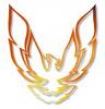 Need Pic Of Eagle!!!!-firebird.jpg