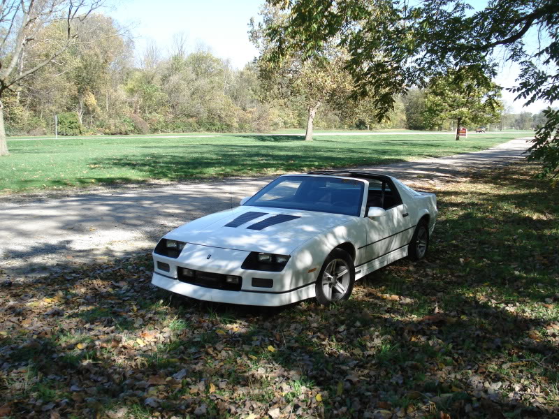 Name:  033.jpg
Views: 101
Size:  184.5 KB