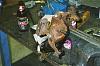 Pics....-image003_4.jpg