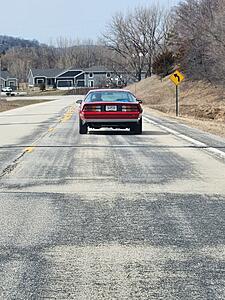 Springtime is almost here. Lets see em after sitting up all winter!!-image000000.jpg