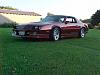 It's alive-mvc-059s.jpg