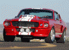 Super Snake Style Racing Stripe-paint...snake3.gif