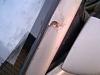 Rust repair - Drivers side door/side view mirror.-hpim0771.jpg