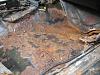 Is my IROC too far gone with rust?-img_0055.jpg