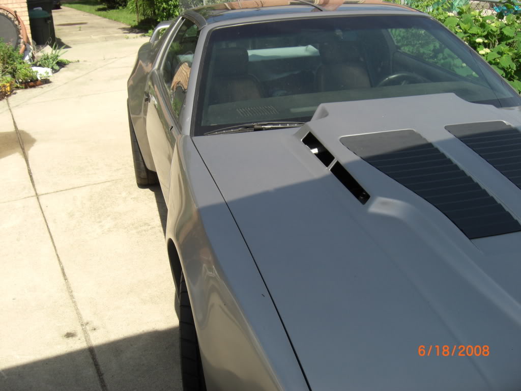 Name:  CIMG0142.jpg
Views: 1827
Size:  83.5 KB