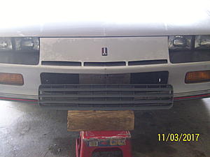 1987 Sport Coupe grille options?-100_5412.jpg