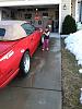 Long time thirdgen'r, Convertible/Firebird Newbie-iris-washing-bird.jpg