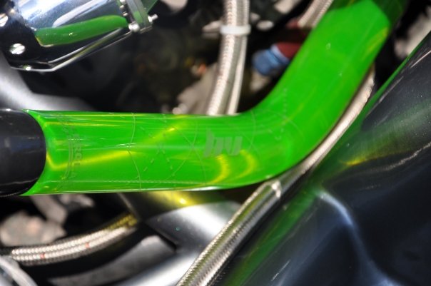 Clear coolant hoses? - Third Generation F-Body Message Boards