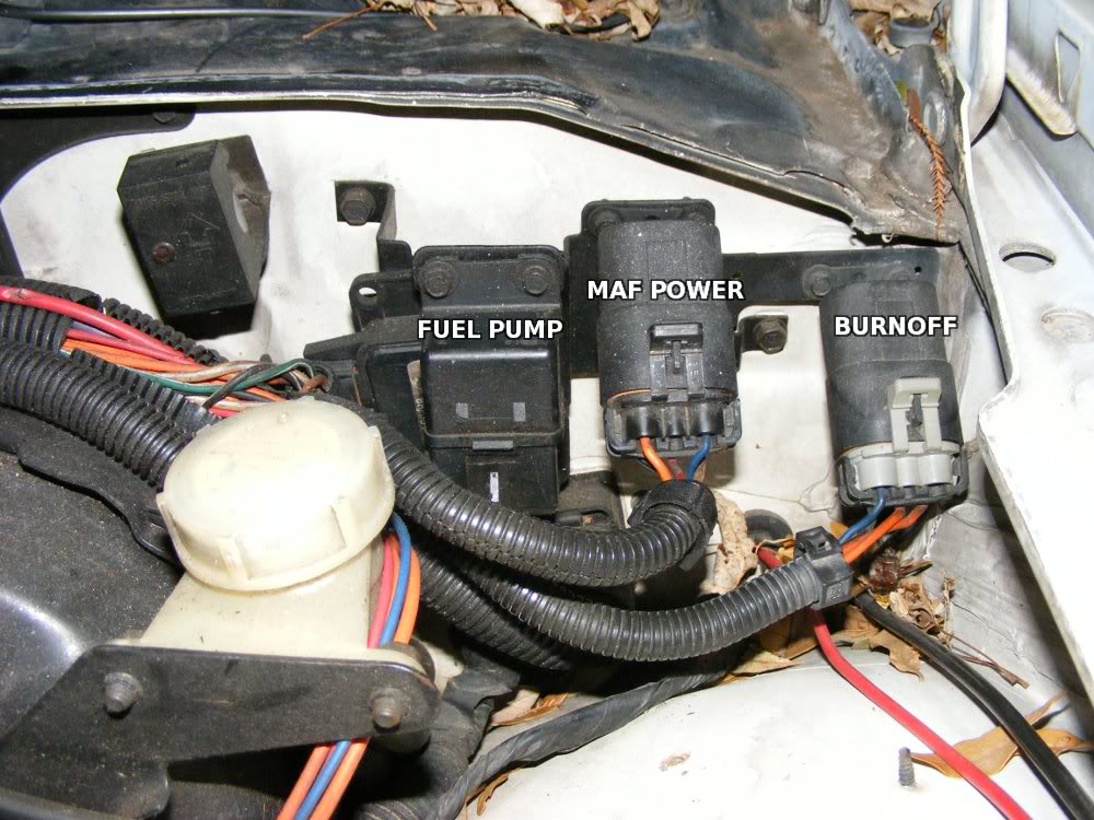 locating the fan wiring and fixing the previous mistakes ... 2001 ford mustang stereo wiring diagram 