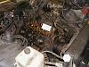 Distributor ?'s-bird1.jpg