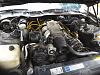 Is there a difference in engine harness's for 91 gta 5.0 5spd vs 91 Formy 5.0 5spd-92-formula.jpg