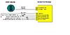 4. out buffer module 1993 caprice-speed_buffer_schematic.jpg