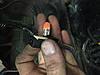 Plugs-img_5755.jpg