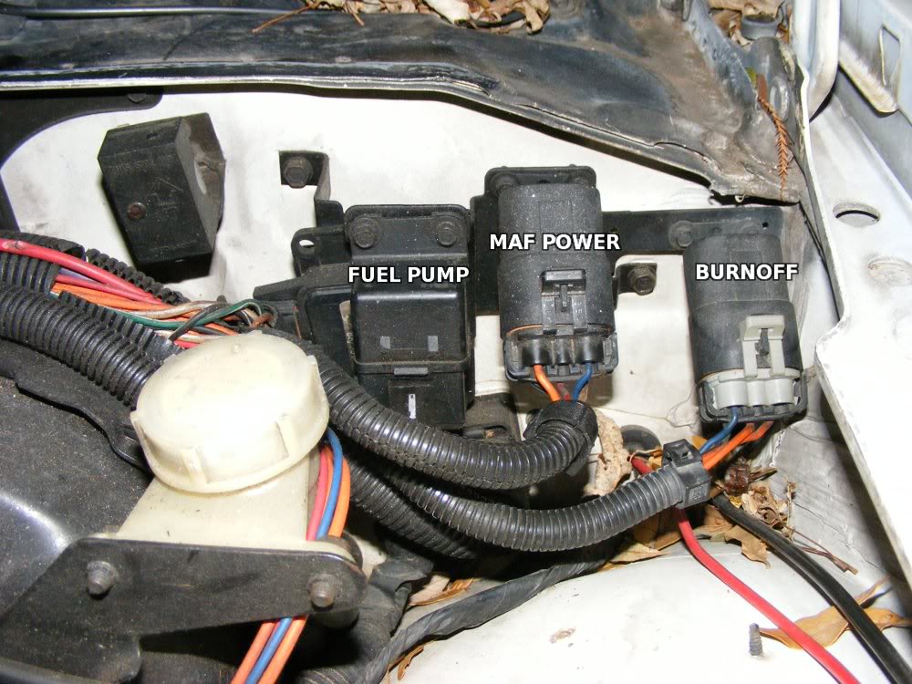Name:  relays.jpg
Views: 1024
Size:  140.3 KB