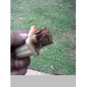 Name:  8.jpg
Views: 47
Size:  4.4 KB