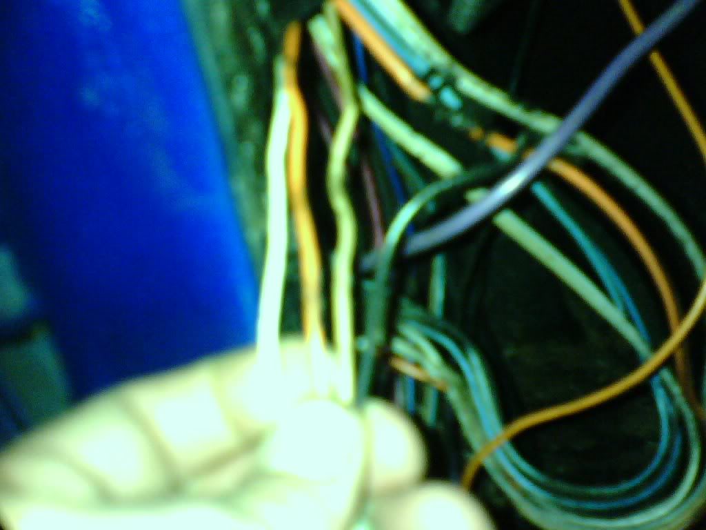 Name:  0810092031.jpg
Views: 43
Size:  68.7 KB
