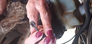 Wiring Assistance-green-wire.jpg