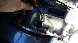 Engine Wiring Help completely lost-simt5qn.jpg