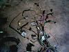 7730 ECM and harness from 91 305 tpi-harness5.jpg