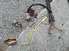 1991 z28 tpi auto speed density wiring harness-001.jpg