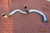 NOS 1983-85 Z-28/Trans Am Exhaust &amp; Crossover Pipes !!-3.jpg