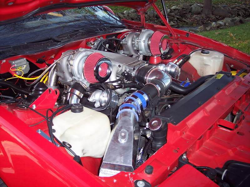 Name:  100_4319.jpg
Views: 536
Size:  122.8 KB