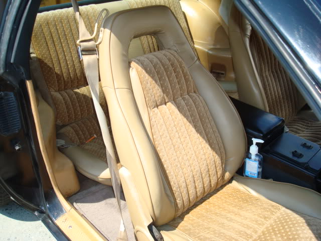 Name:  DSC04013.jpg
Views: 237
Size:  61.9 KB