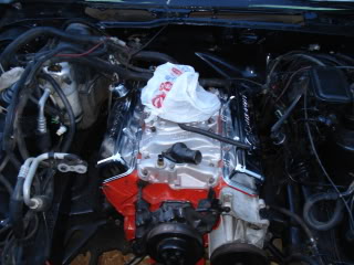 Name:  DSC02208.jpg
Views: 123
Size:  41.6 KB