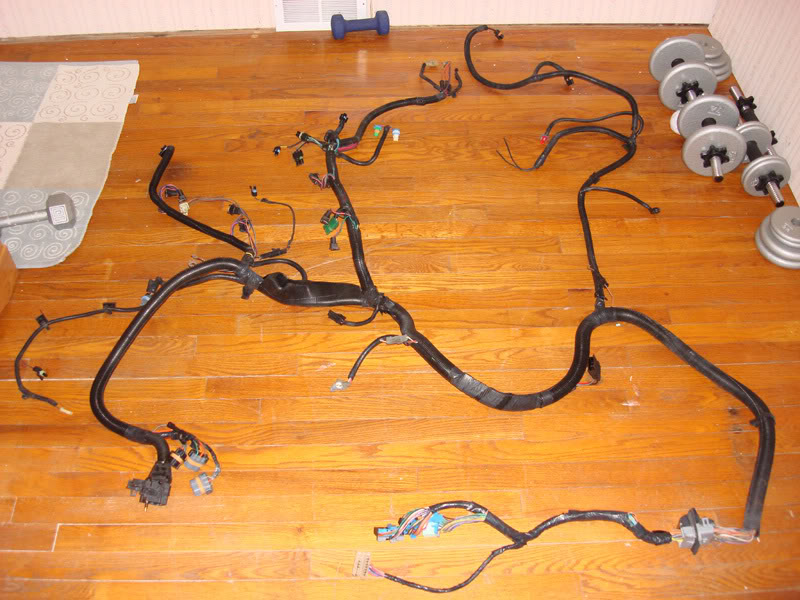 Name:  91_TransAm_Engine_Harness.jpg
Views: 137
Size:  110.8 KB