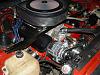 Engine Pics-engine-bay-pic-web.jpg