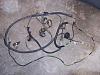 Trans am taillight wiring harness -picture-742.jpg