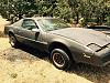 Parting 84 Firebird-image.jpg