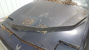 Garage clean out. Trans Am aero wing, 91/92 Taillights, and much more!-20180403_232435.jpg