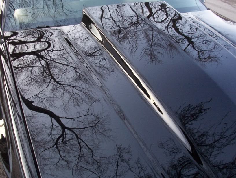 Name: cowlhood5reflection.jpg
Views: 4770
Size: 114.7 KB