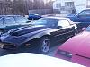 checking interest on my 91 black trans am convertable 5-speed car-dcp_0102.jpg