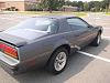 89 form.firebird-p1010291.jpg