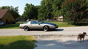 twin turbo trans am for sale oklahoma-20130824_165447.jpg