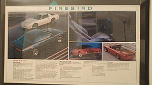 1991 Firebird Memorabilia-1024160029b.jpg