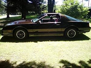 Did they really make a brown IROC?-20376109_10211839040603929_4645624901841376742_n.jpg
