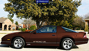 Did they really make a brown IROC?-brown.jpg