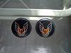 FOR SALE: 1982 Firebird/Trans Am door panel emblems-simg0005.jpg