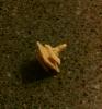 Need help finding this clip-clip01.jpg