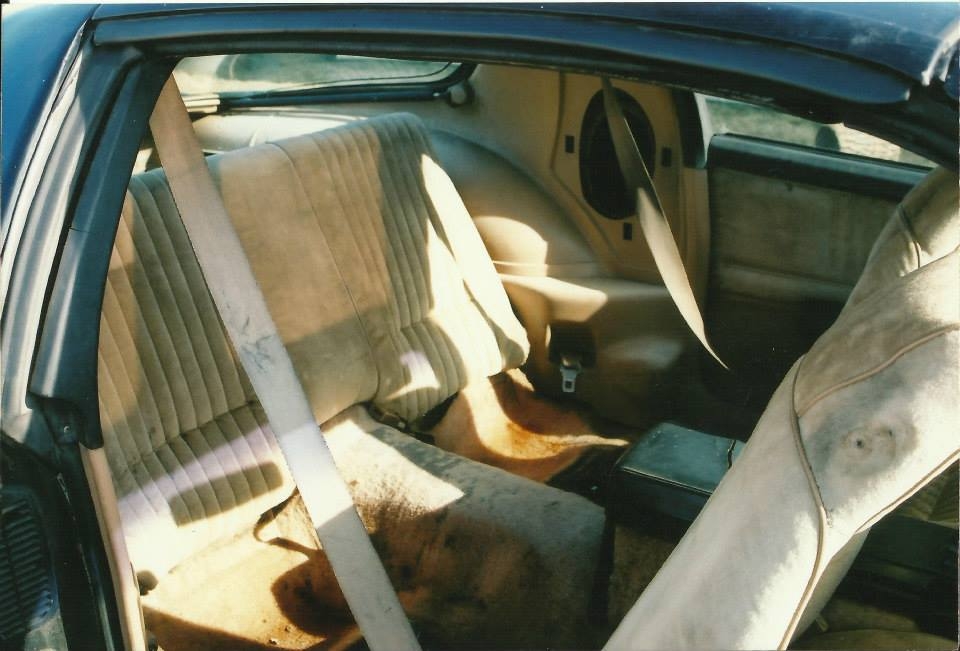 Interior for black car - Third Generation F-Body Message Boards