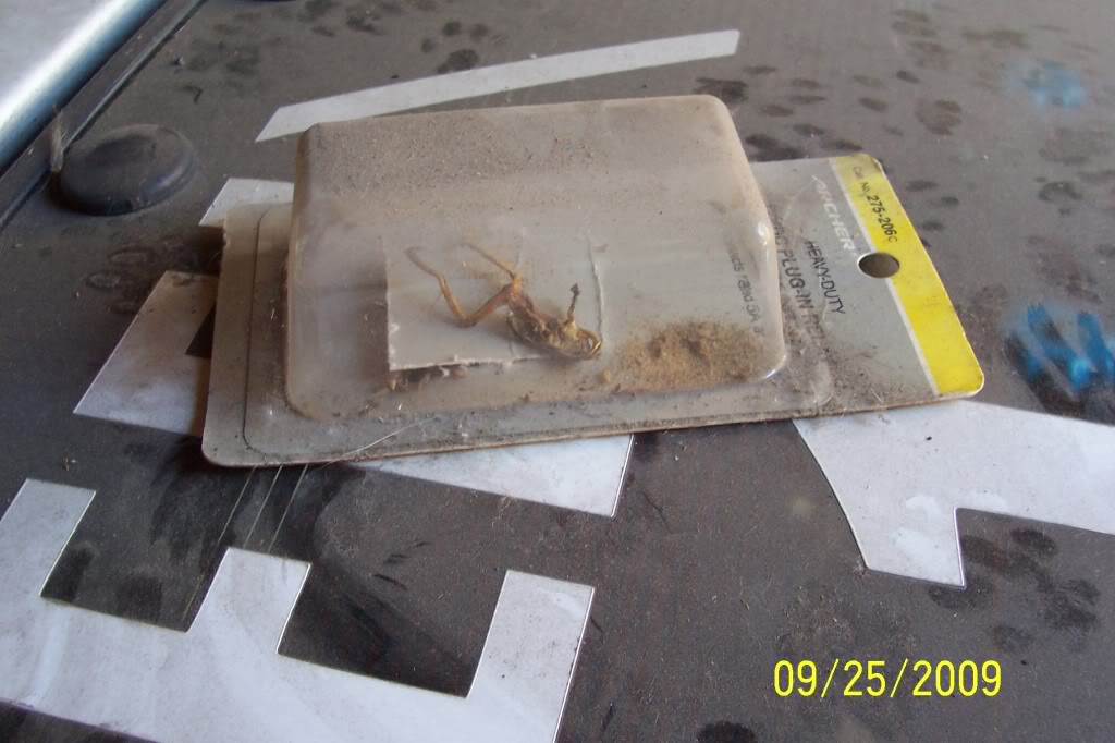 Name:  Z28031.jpg
Views: 239
Size:  86.4 KB