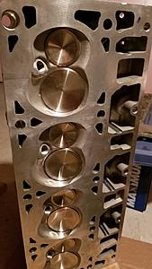 Brand New Built LSA Heads-20171113_121125.jpg