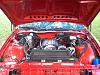 Show me your engine bay-new-pics-001.jpg
