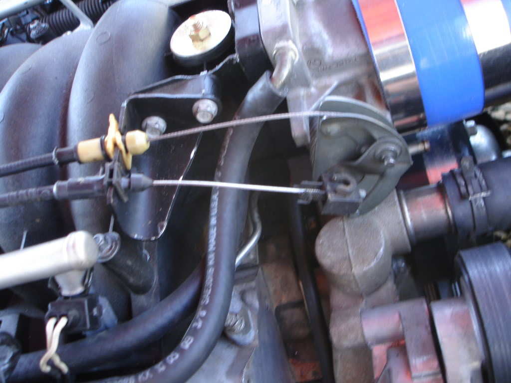 Name: DSC01712.jpg
Views: 3138
Size: 108.0 KB